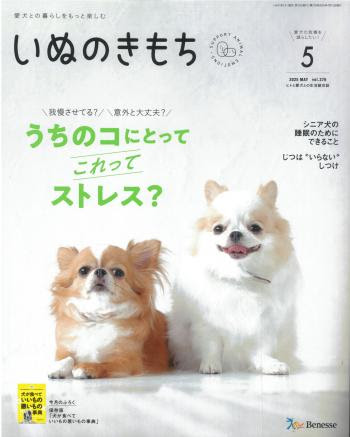 Jubilee Mat is introduced in 『いぬのきもち』 magazine.