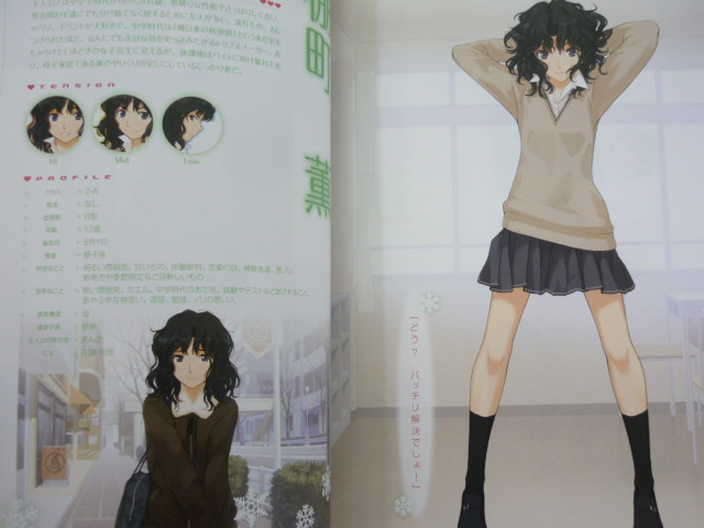 Amagami Official Complete Guide Ps2 Book Eb85* 