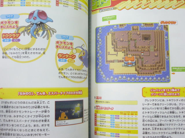 Pokemon Heart Gold Soul Silver Guide Book Nintendo Ds Eb01 Ebay