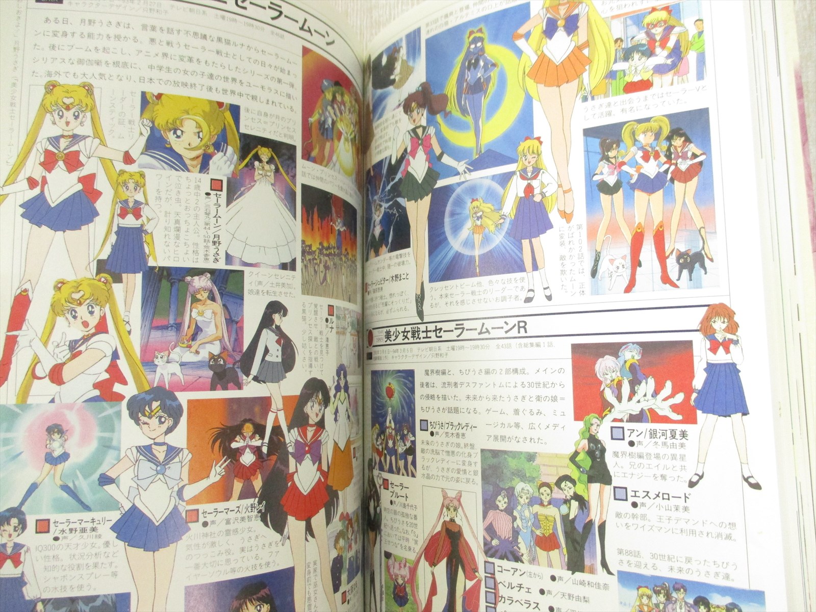 Anime Heroines Gaho Chronicle Art Book Fanbook Evangelion Sailor Moon Utena Ebay