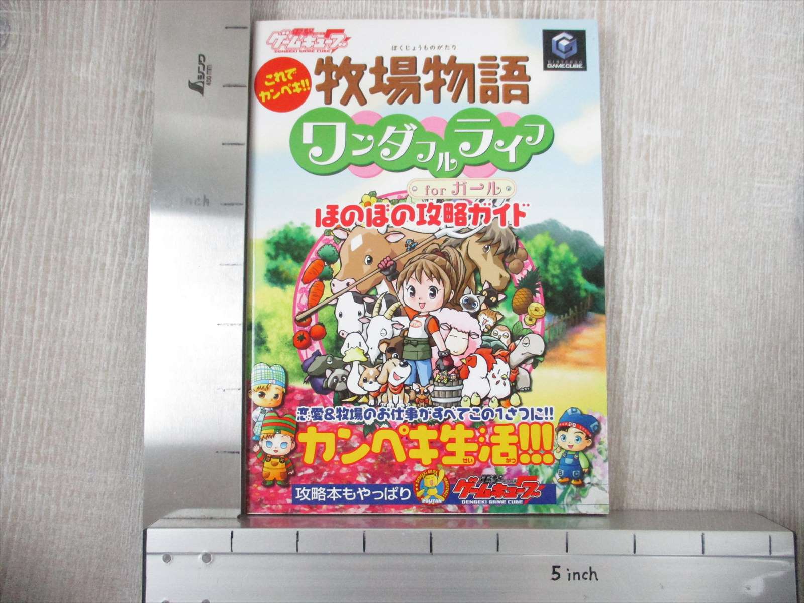 BOKUJOU MONOGATARI Harvest Moon Wonderful Life for Girls ...