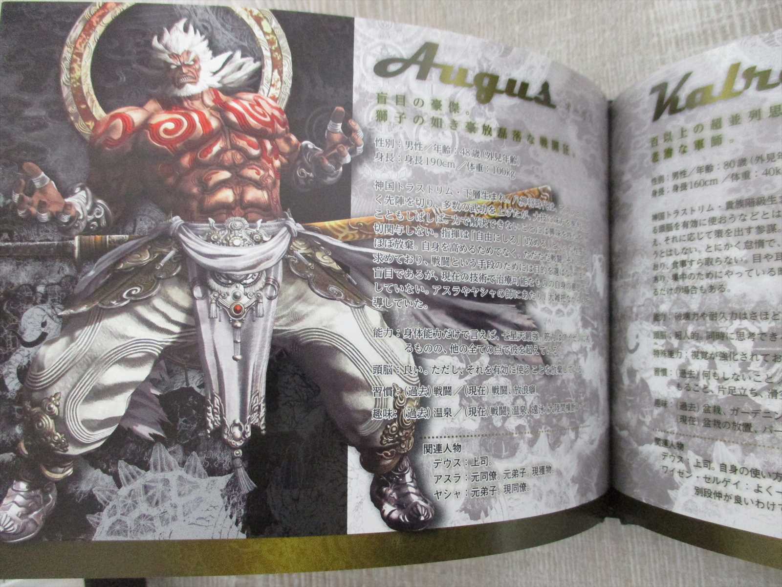 Asura S Wrath Shiki A Art Works Fan Book Japan 12 Ps3 Ltd Ebay