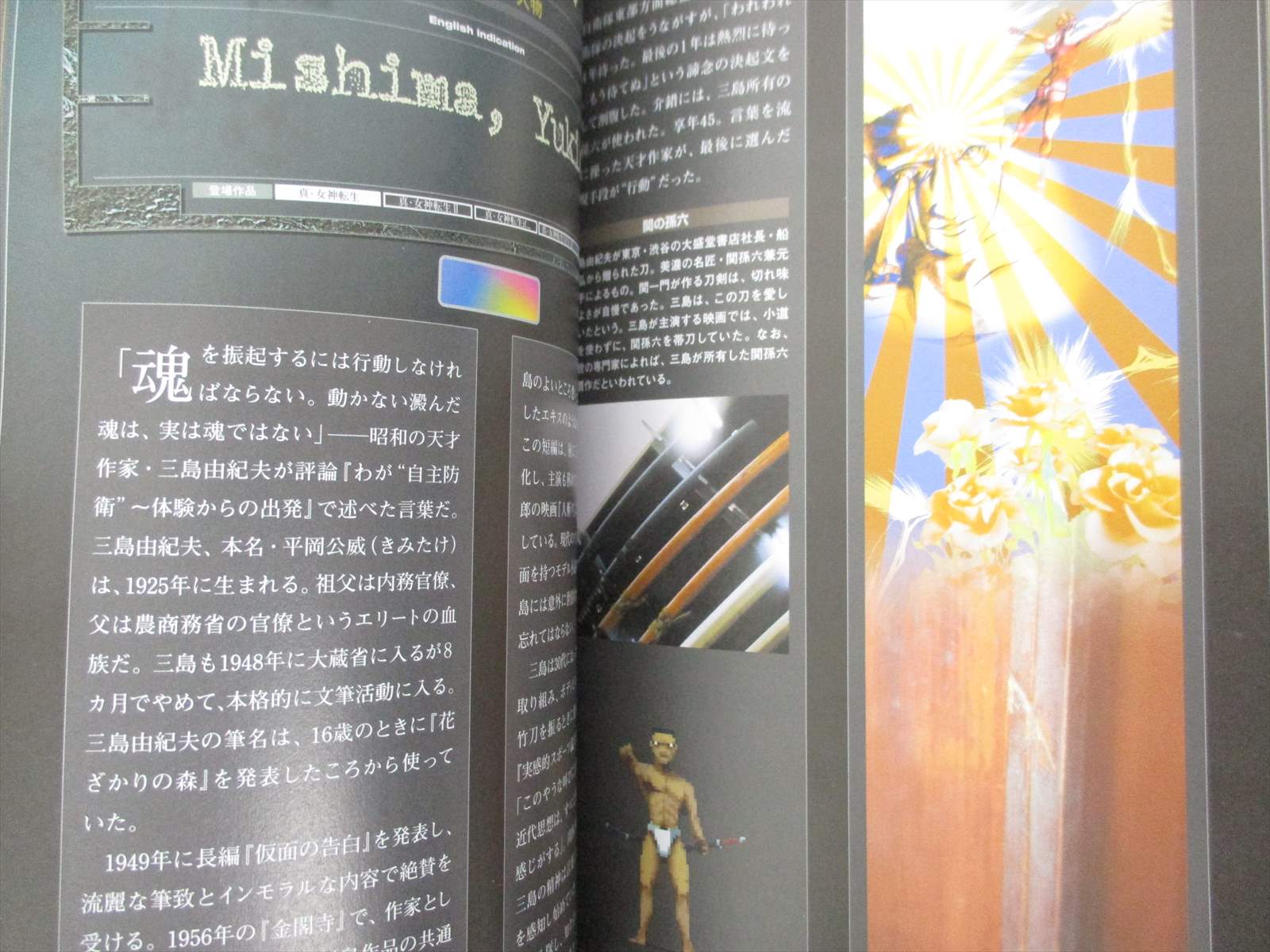 Shin Megami Tensei Grimoire Chaos Museum Art Game Fan Book Eb21 Ebay