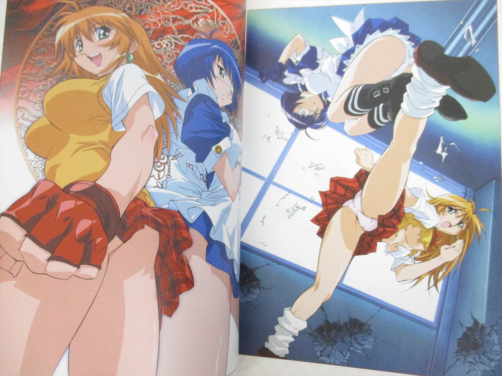 Ikki Tousen Tosen Visual Book W Poster Folder Art Works Fan 04 Japan 79 Ebay