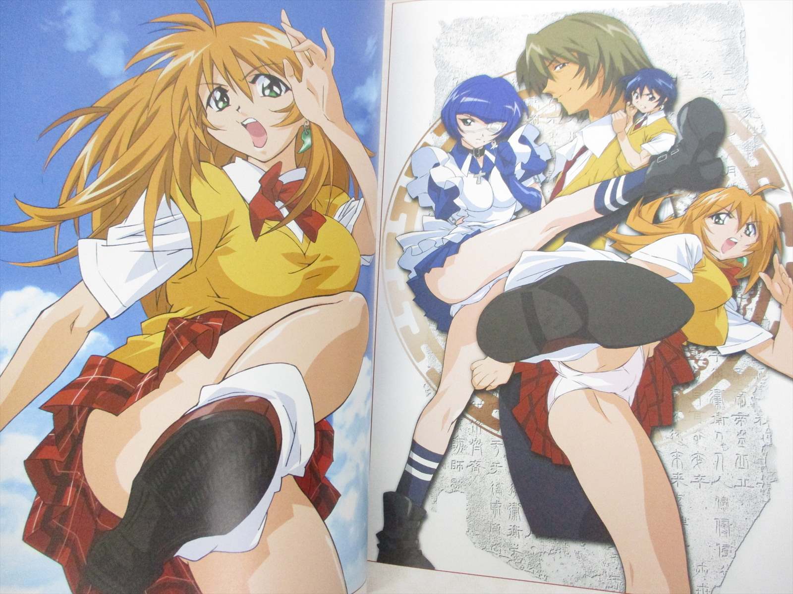 Ikki Tousen Tosen Visual Book W Poster Folder Art Works Fan 04 Japan 79 Ebay