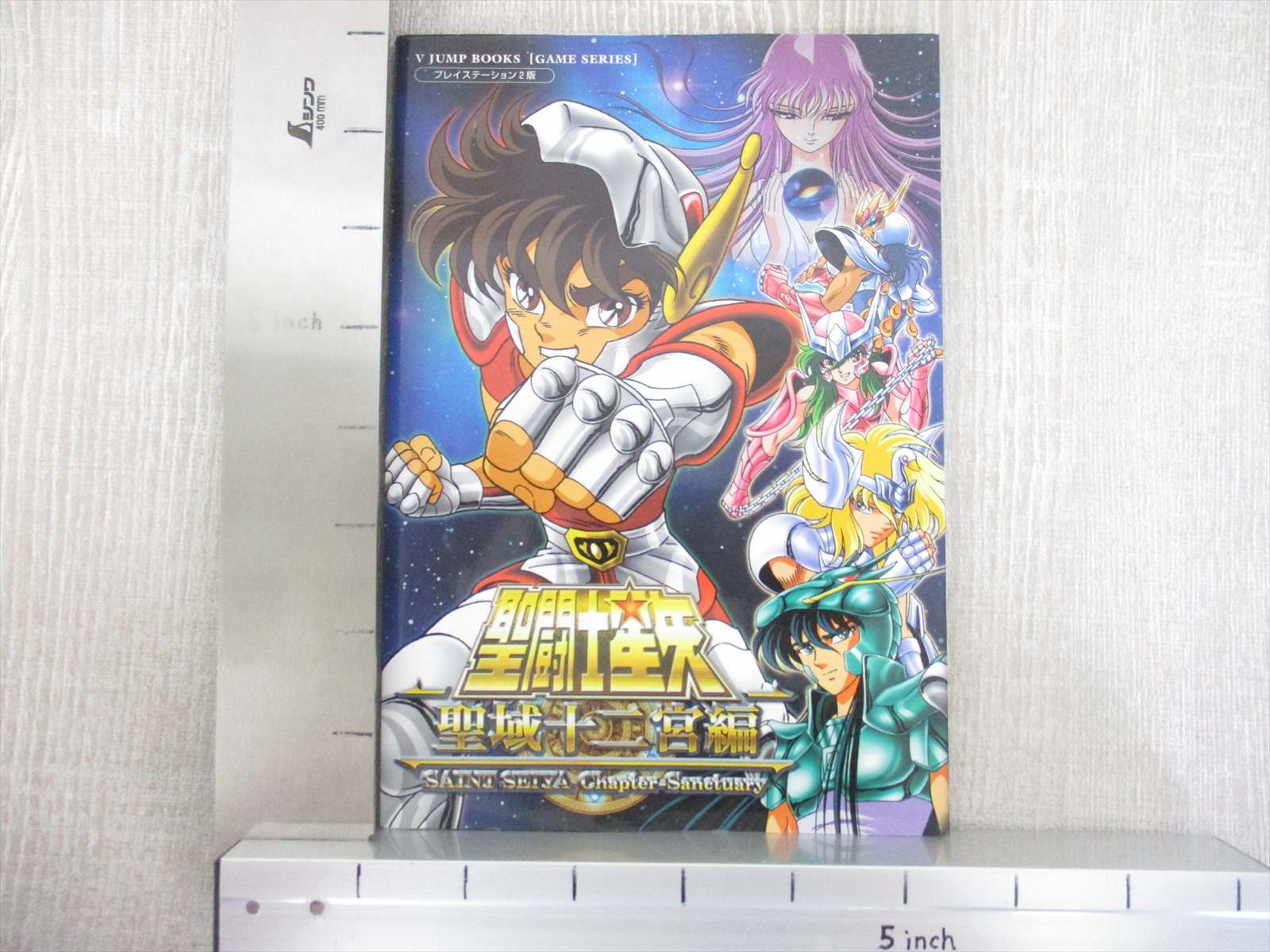 saint seiya chapter sanctuary ps2