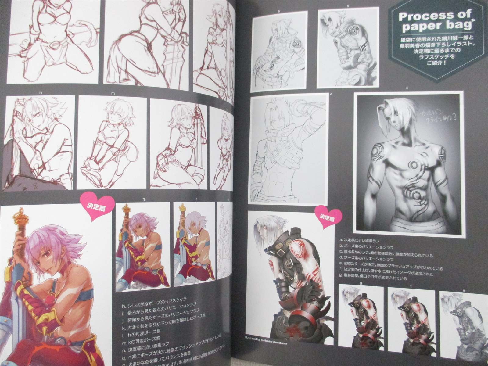 Hack Heart Nounai Kaihou Art Works Illustration Book 12 C Ltd Booklet Ebay