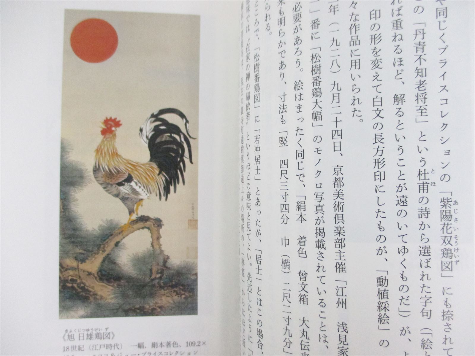 Ito Jakuchu Art Photo Book Pictorial Japan 10 Japanese Paintings Kd Ebay