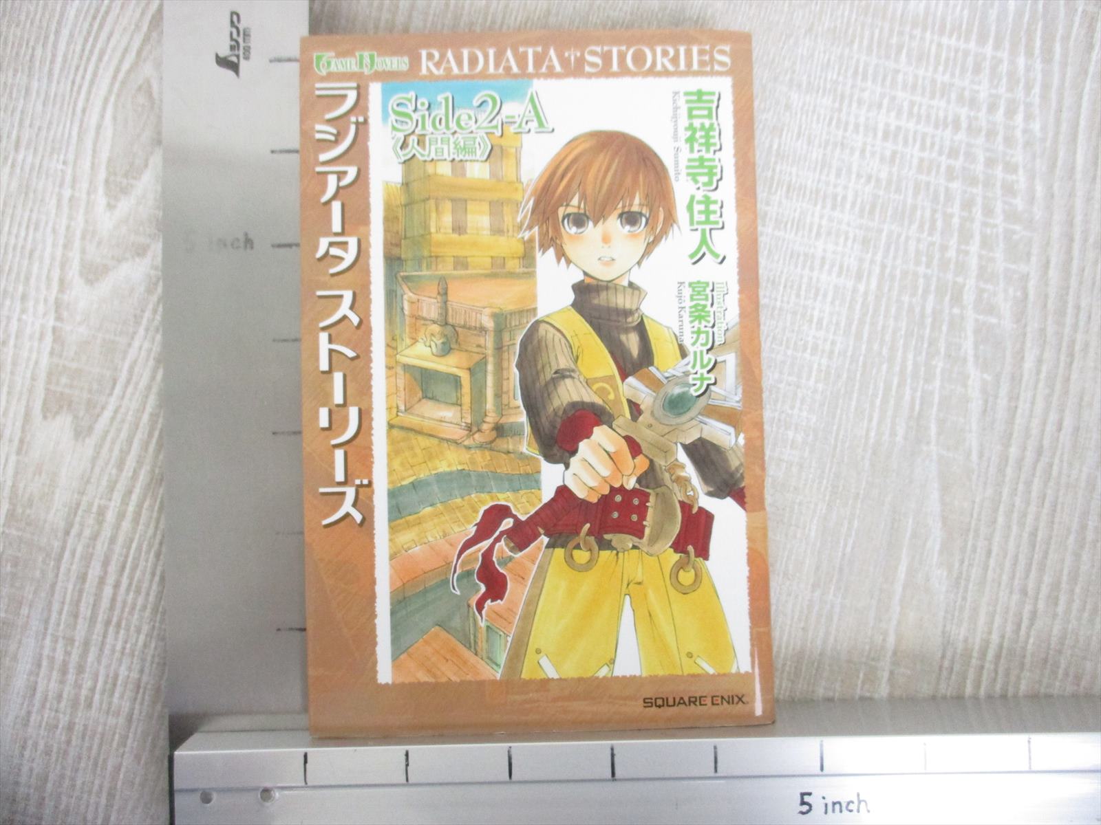 Radiata Stories Side2 Novel Comlete Set A B Sumito Kichijoji Japan Book Se Ebay