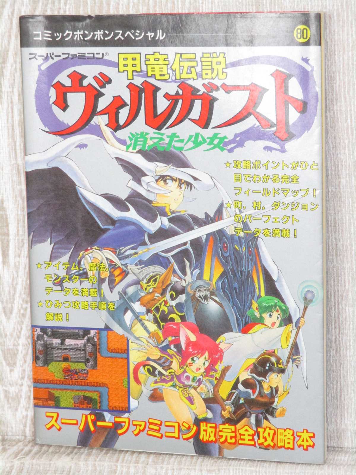 Villgust Armed Dragon Fantasy Guide W Map Nintendo Sfc 1992 Book Ko01 Ebay