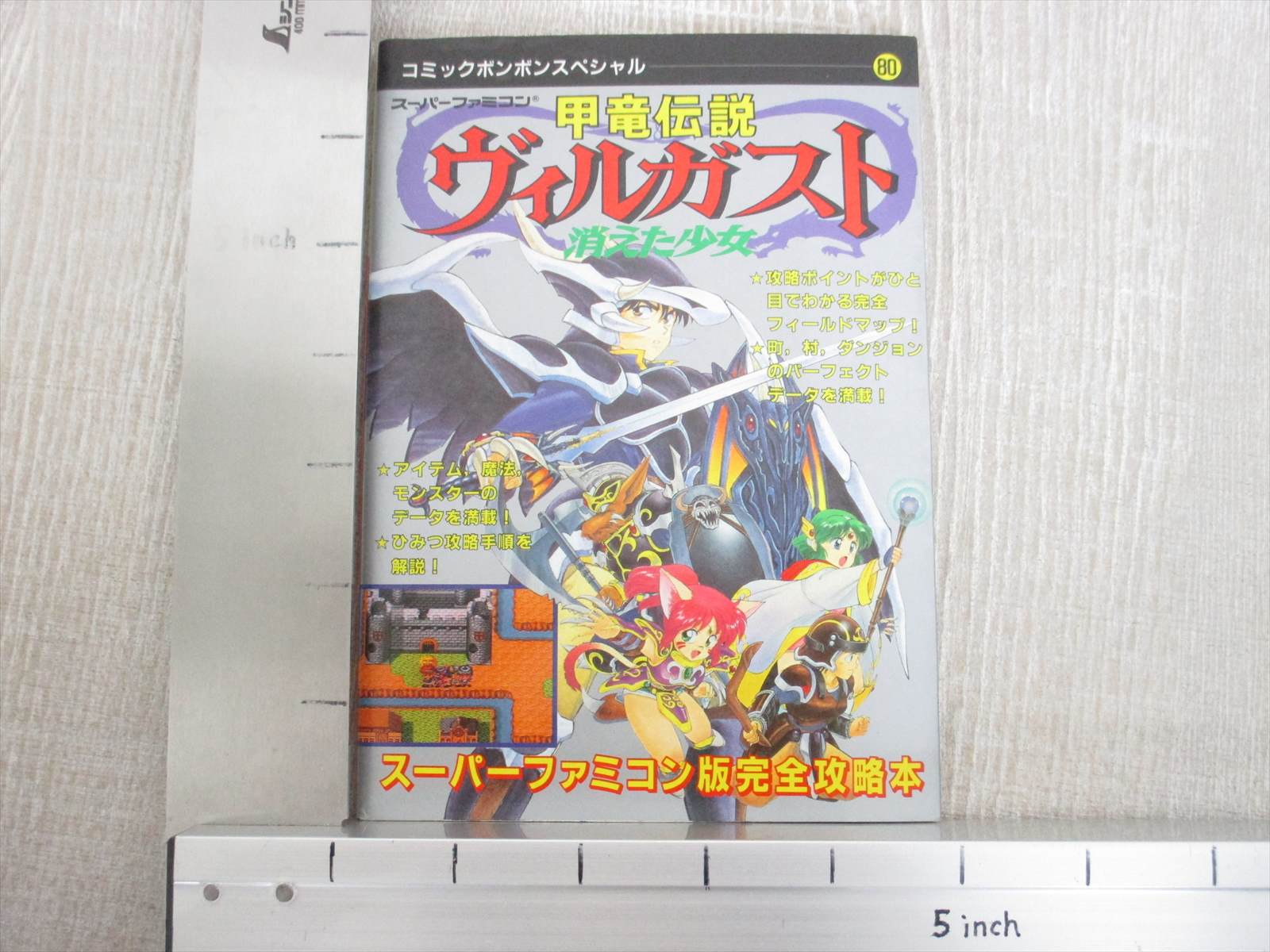 Villgust Armed Dragon Fantasy Guide W Map Nintendo Sfc 1992 Book Ko01 Ebay