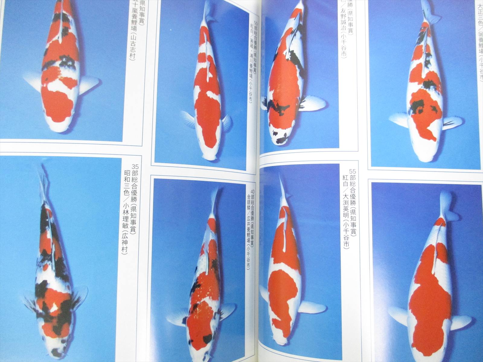 Nishikigoi Colored Carp Nishiki Koi Art Pictorial Rinko 4 02 Japan Fan Book Ebay