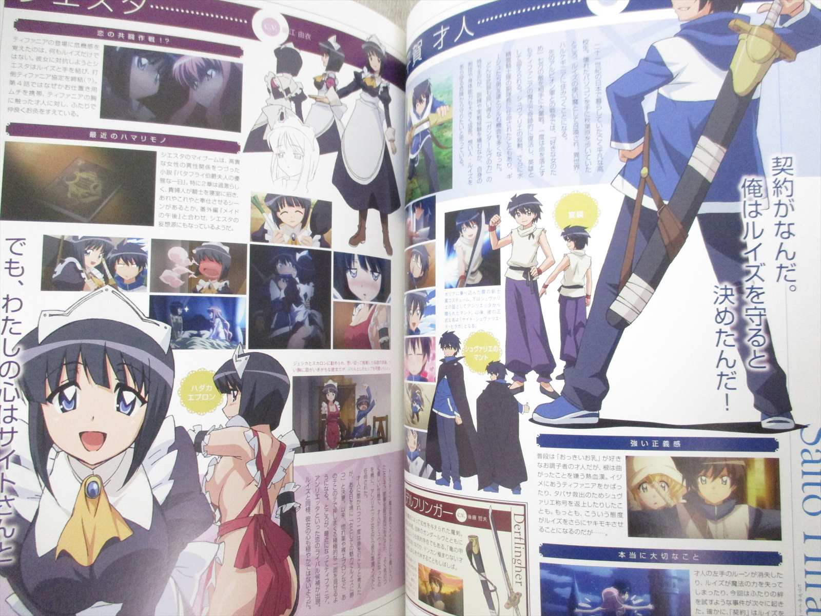 Zero No Tsukaima Familiar Rondo Princesses Complet W Poster Art Guide Fan Book Ebay