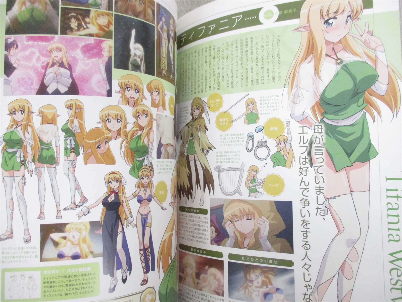 Zero No Tsukaima Familiar Rondo Princesses Complet W Poster Art Guide Fan Book Ebay