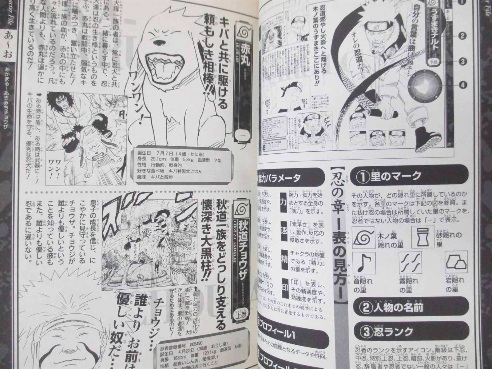 Naruto Character Official Data Book Tou No Sho Art Fan 05 Sh42 Ebay