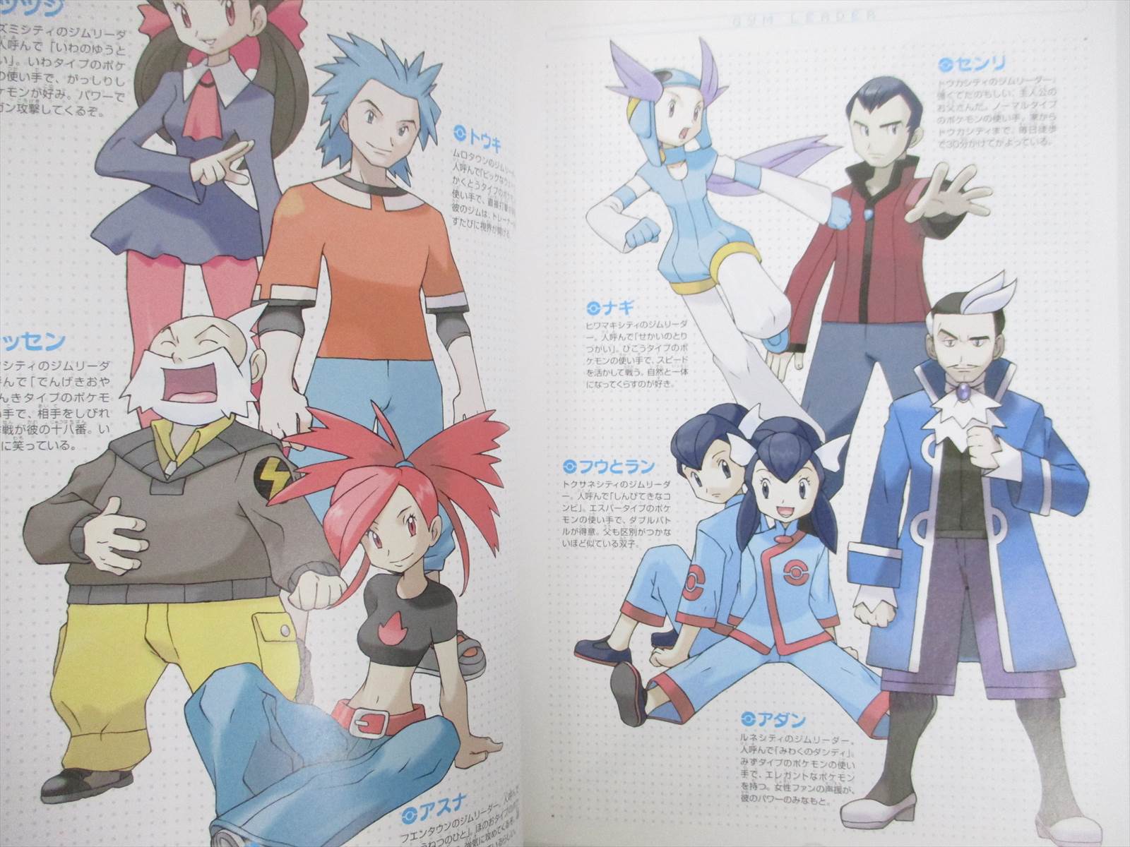 Pokemon Emerald Official Dai Hyakka Encyclopedia Gba Guide Fan Book 04 Eb56 Ebay