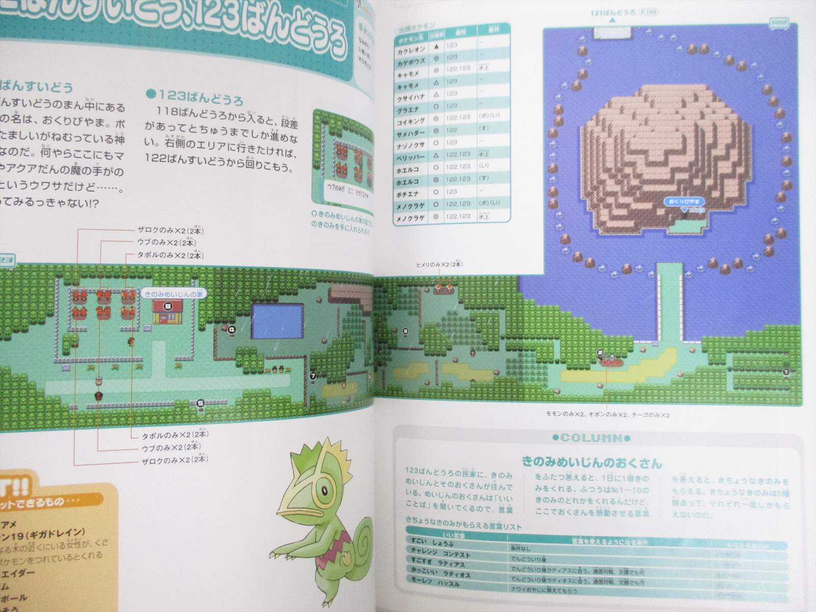 Pokemon Emerald Official Dai Hyakka Encyclopedia Gba Guide Fan Book 04 Eb56 Ebay