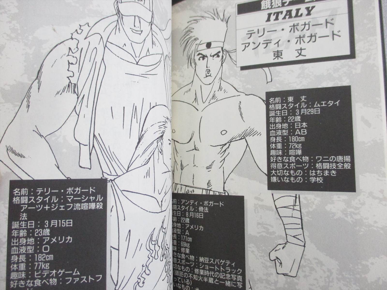 King Of Fighters 94 No Nazo Character Analysis Art Essay Fan Book 1995 Si Ebay