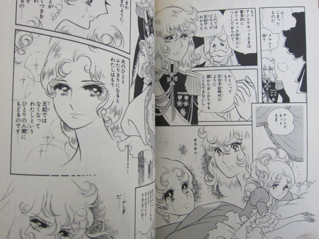 Rose Of Versailles Manga Comic Complete Set 1 10 Riyoko Ikeda Book Sh Ebay