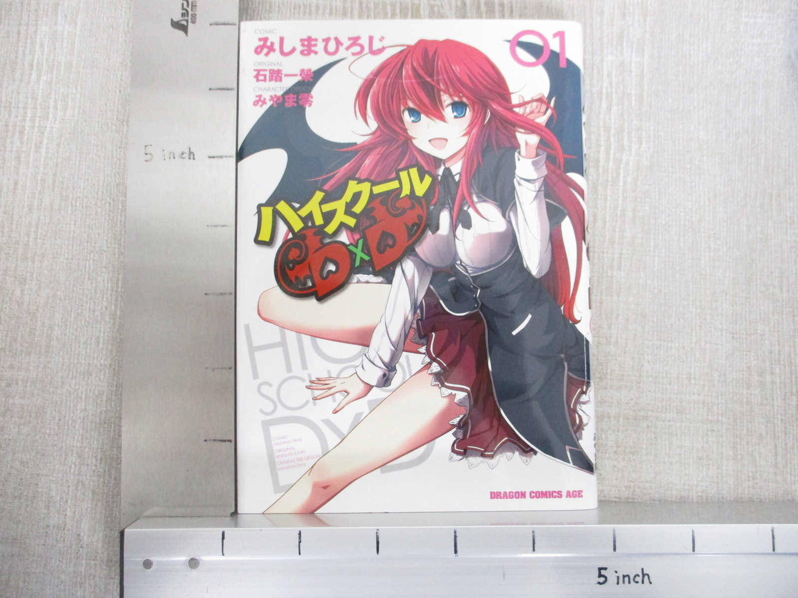 High school DxD light novel, Hobbies & Toys, Books & Magazines, Comics &  Manga on Carousell